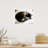 Poster Kitten dort sur White Comforter (Cuisine)