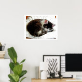 Poster Kitten dort sur White Comforter (Bureau à domicile)