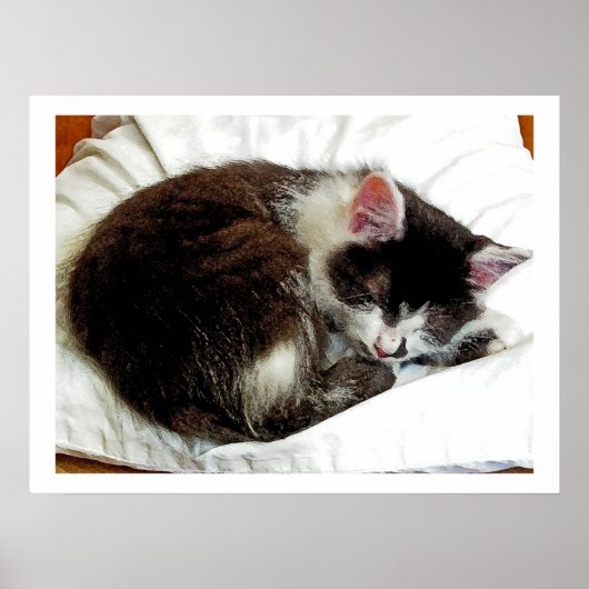 Poster Kitten dort sur White Comforter (Devant)