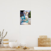 Poster Kitten En Chaussure (Cuisine)