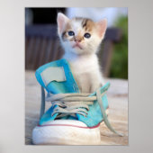 Poster Kitten En Chaussure (Devant)