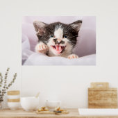 Poster Kitten en colère (Cuisine)