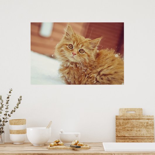 Poster Kitten en neige (Cuisine)