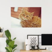 Poster Kitten en neige (Bureau à domicile)