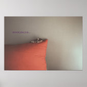 Poster Kitten En Paix (Devant)