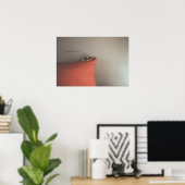 Poster Kitten En Paix (Bureau à domicile)