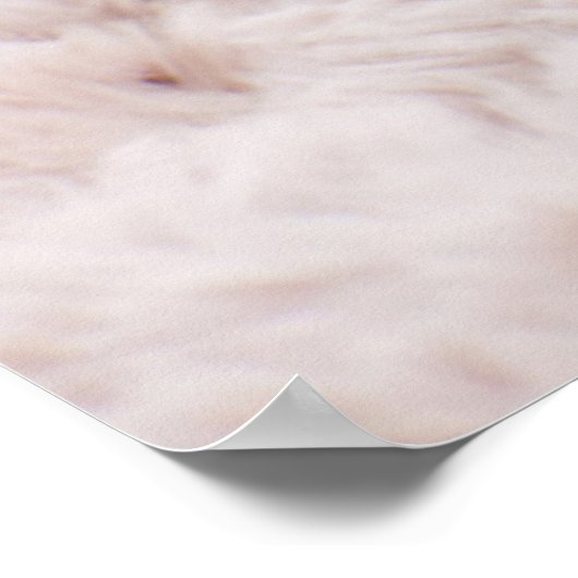 Poster Kitten endormi (Coin)