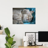 Poster Kitten et maman (Bureau à domicile)