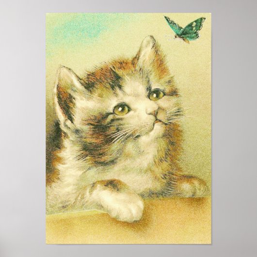 Poster Kitten Et Papillon Vintage (Devant)