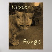 Poster Kitten Gangs (Devant)