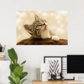 Poster Kitten le plus mou jamais (Bureau à domicile)