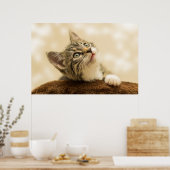 Poster Kitten le plus mou jamais (Cuisine)