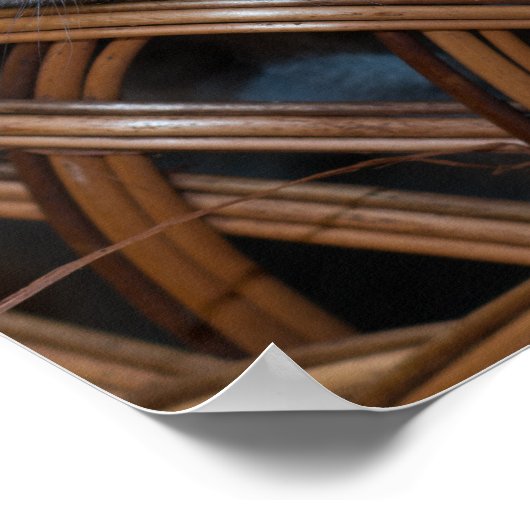 Poster Kitten Love (Coin)