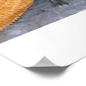 Poster Kitten Love (Coin)