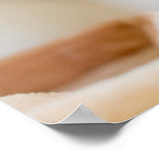 Poster Kitten orange et blanc (Coin)