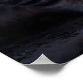 Poster Kitten & Owl - Whimsical Forest Friends Art (Coin)