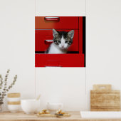Poster Kitten Peeking (Cuisine)
