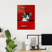 Poster Kitten Peeking (Bureau à domicile)