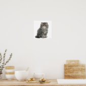 Poster Kitten persan (2 mois) assis (Cuisine)
