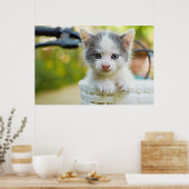 Poster Kitten Ride Un Vélo (Cuisine)