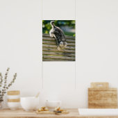 Poster Kitten se déplaçant sur le banc (Cuisine)