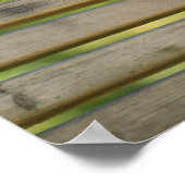 Poster Kitten se déplaçant sur le banc (Coin)