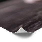 Poster Kitten Standing Tall (Coin)