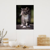 Poster Kitten Standing Tall (Cuisine)