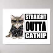 Poster Kitten Strit Outta Catnip (Devant)