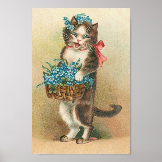 Poster Kitten vintage (Devant)