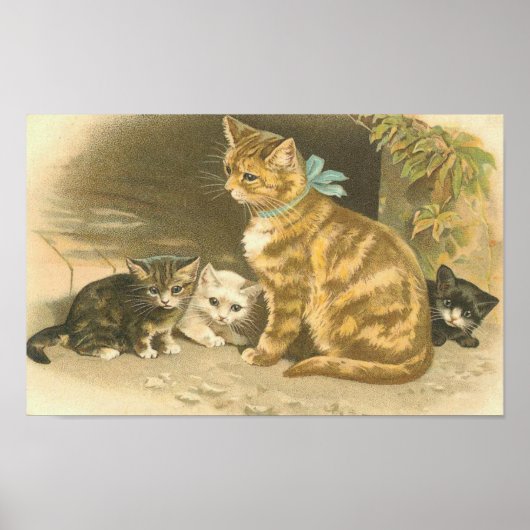 Poster Kitten vintage (Devant)