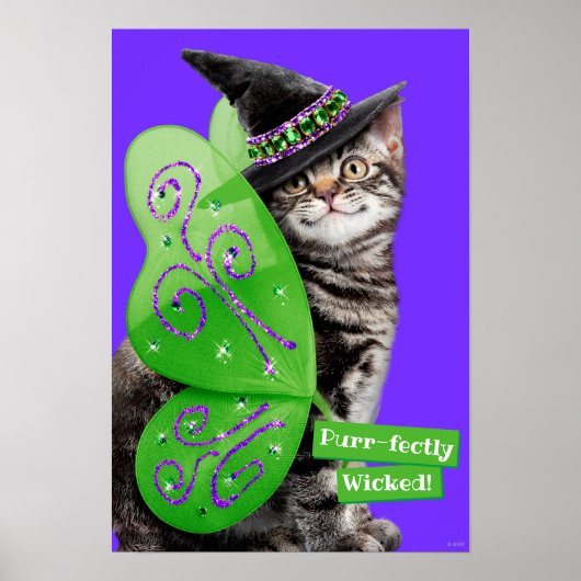 Poster Kitten Witch Fairy (Devant)