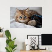 Poster Kitten With Blue Eyes (Bureau à domicile)