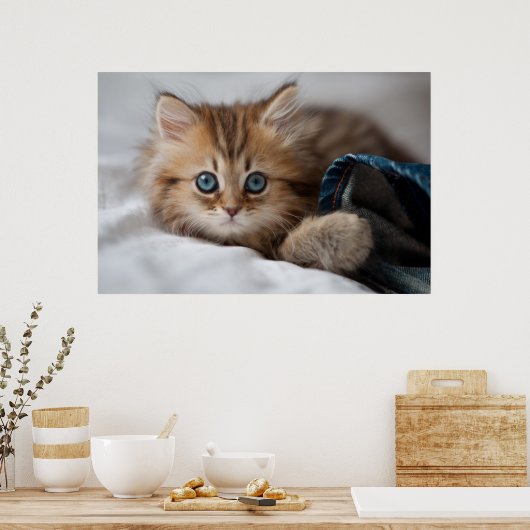 Poster Kitten With Blue Eyes (Cuisine)