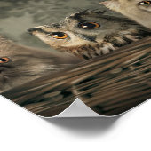 Poster Kittens (Coin)