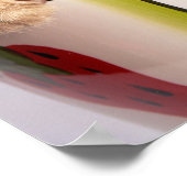 Poster Kittens (Coin)