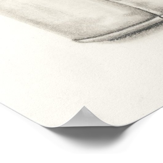 Poster Kitties (Coin)