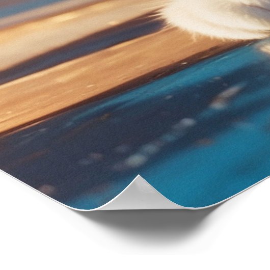 Poster *~* Kitty 5:4 Feline Kitten Chat Noir Tuxedo (Coin)