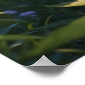 Poster *~* Kitty AP68 5:4 Feline Kitten Cat Prêt (Coin)