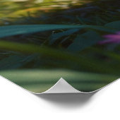 Poster *~* Kitty AP68 5:4 Fluffy ORANGE Feline Kitten (Coin)