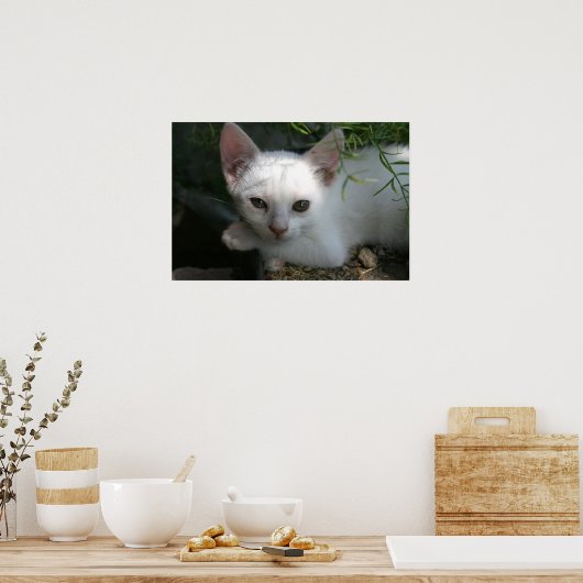Poster Kitty blanc (Cuisine)