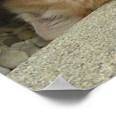 Poster Kitty Cat Super Héros Humour (Coin)