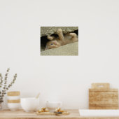 Poster Kitty Cat Super Héros Humour (Cuisine)
