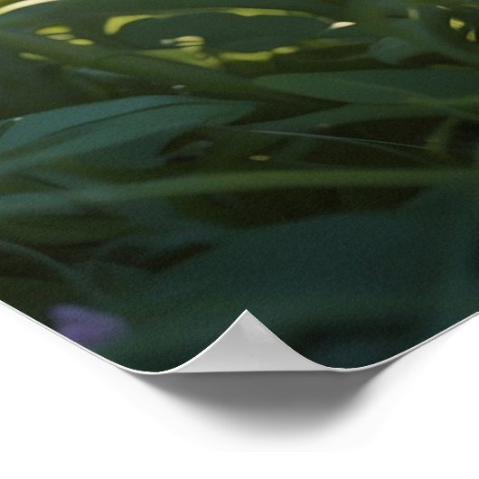 Poster *~* Kitty Chat 5:4 Feline Kitten Sweet Tuxedo (Coin)