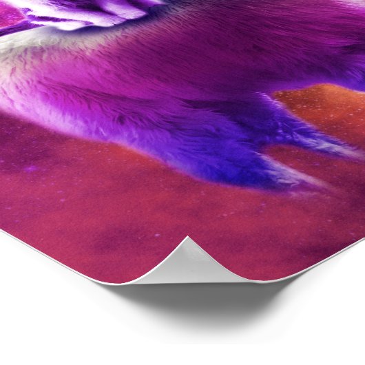 Poster Kitty Chat Riding Sur Rainbow Llama Dans L'Espace (Coin)