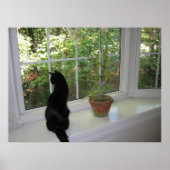 Poster Kitty dans la fenêtre (Devant)