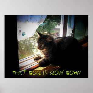 Poster Kitty moyen indique que le chien est Goin vers le