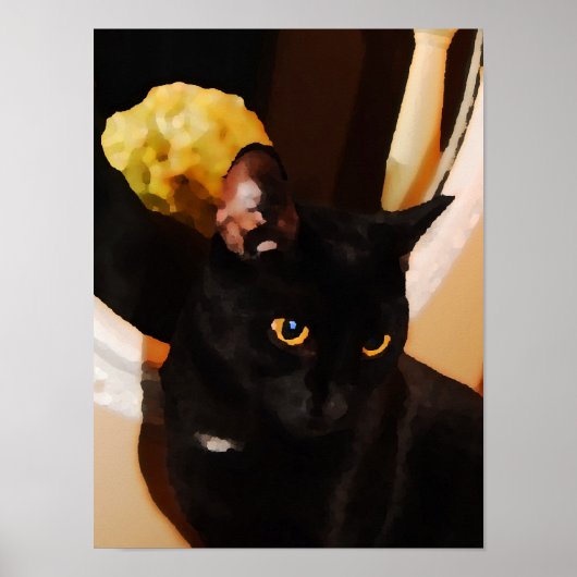 Poster Kitty noir (Devant)