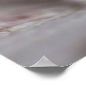 Poster Kitty tacheté blanc (Coin)