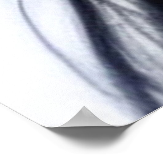 POSTER KITTY WAIFU 10 (Coin)